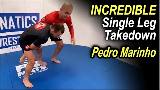 INCREDIBLE Jiu Jitsu Single Leg Takedown with Pedro Marinho