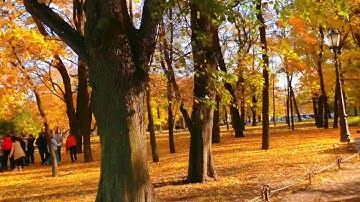 Buổi sáng mùa thu tuyệt đẹp ở Saint Petersburg 💕🍁✨