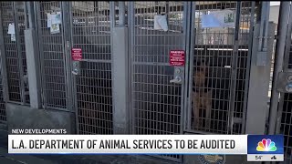 LA City Controller to conduct audit on Animal Services