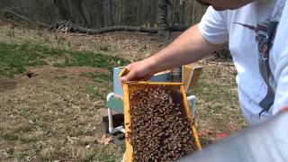 Package Hive Series - Week 2