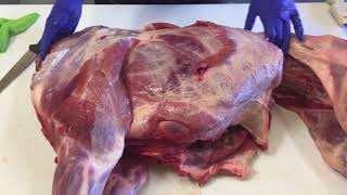How to Butcher a Wild Hog