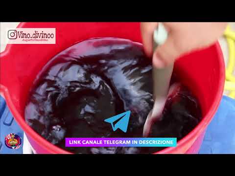 Video: Suggerimenti per concimare un tiglio: quando concimi il lime