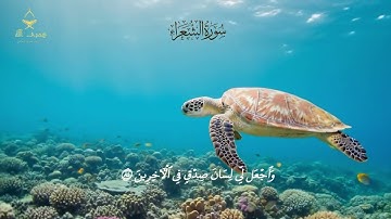 سورة الشعراء - الشيخ ياسر الدوسري - من الآية 78 الى الآية 104