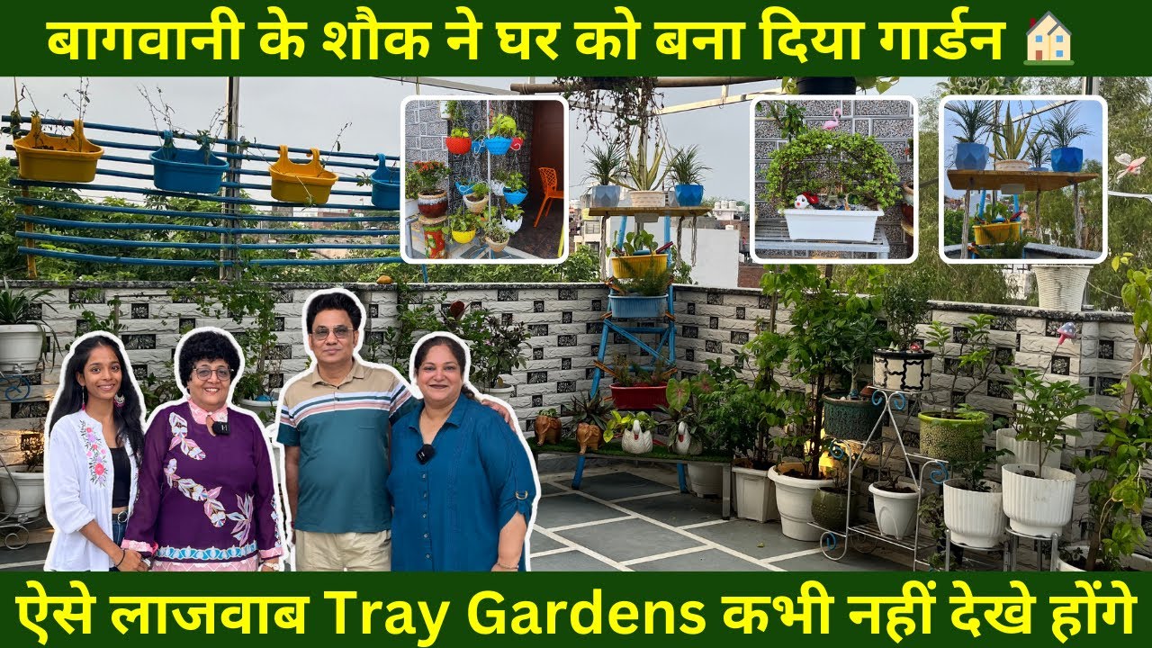 कपल का कमाल: बागवानी के शौक ने घर को बना दिया गार्डन🏠 Best Out of Waste & DIY की अनोखी दुनिया