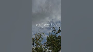 { يَا قَوْمِ إِنَّمَا هَذِهِ الْحَيَاةُ الدُّنْيَا مَتَاعٌ } #سورة غافر
