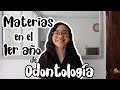 Materias en el primer año de odontología