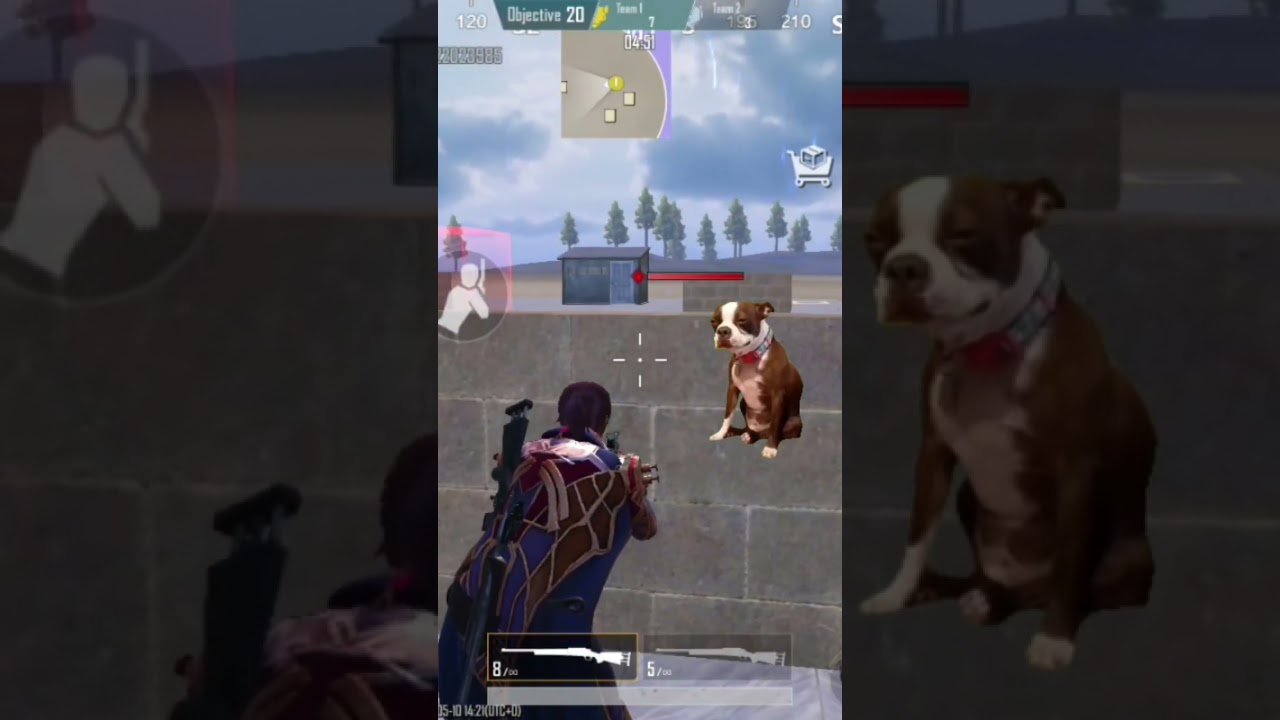 #youtube #puppy #pupg mobile #