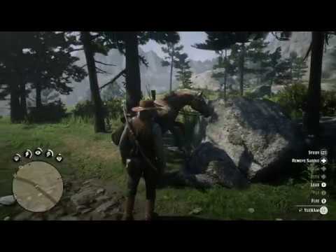 Red Dead Redemption 2: Robbing a House/People (Free Roam #2)