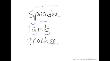 Hendecasyllabic scansion intro Catullus