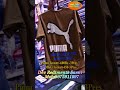 Puma teesart #dev rediments sasni #wholesale #vairal #faishan point #fashion #kapdekabusiness