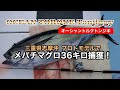 【オーシャントルク トンジギ】身体に優しいトンジギロッド マグロジギングの常識を変える  三重県志摩沖でメバチマグロ36キロ捕獲