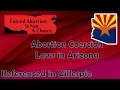 Arizona Law on Abortion Coercion