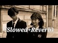 Tumse Hi Toh Pyaar Hai | Romantic Hindi Song | Heart Touching Love Song | (Slowed+Reverb)