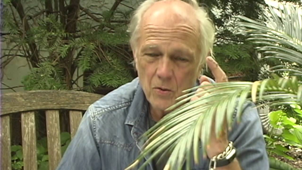 Surrogacy and the Archaeological Object: Introduction