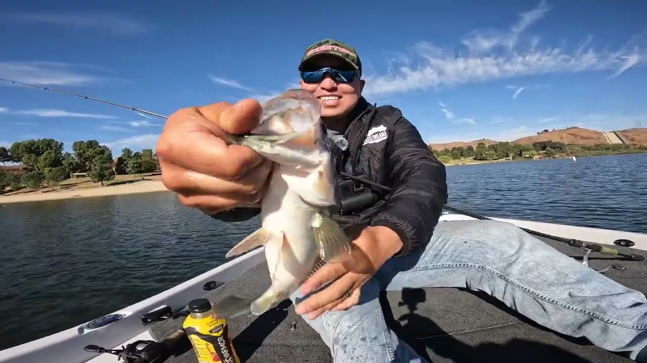 Bass fishing during the Fall! ITS EASY!