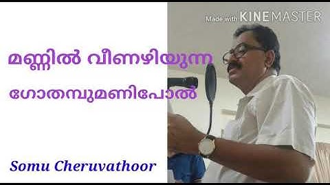 മണ്ണില്‍ വീണഴിയുന്ന ഗോതമ്പു /Mannil veenazhiyunna/ Malayalam Christian Song/ Somu Cheruvathoor