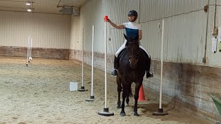 Working Equitation Ease Of Handling Level 2 Novice A