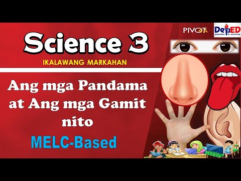 Ang mga Pandama at Ang mga Gamit nito | with Activities and Answer Key| SCIENCE 3 | Quarter 2