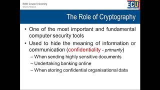 CSI1101  Module 4