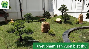 Thiết kế đồi Tùng La Hán đẹp giá rẻ nhất ở Bình Dương 0944353629 #doitungdep #doitunglahan
