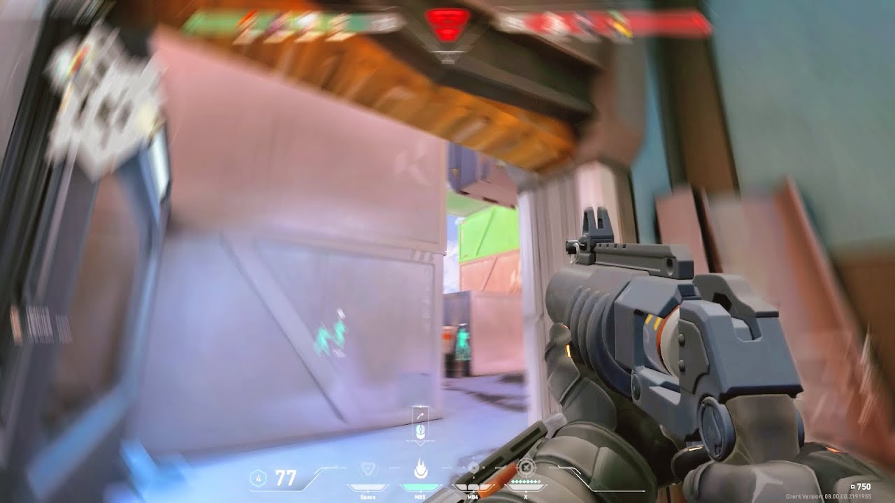 Mollying on the *NEW* Icebox