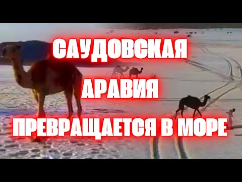 Наводнение Саудовская Аравия! Вы не поверите, четыре стихии обрушились сегодня Апокалипсис в пустыне