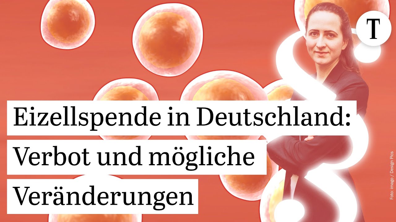 Eizellspende in Deutschland: Ein umstrittenes Verbot und die Perspektiven auf Veränderung