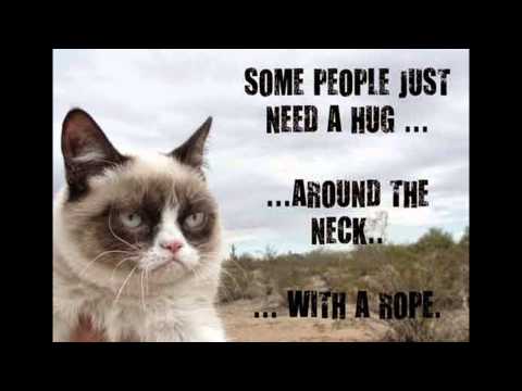 Grumpy Cat  Funny  Quotes  YouTube