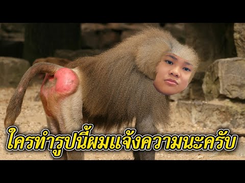 LIVE - ROBLOX คนดูรักผมมั้ยครับ  (10บาทขึ้นจอ) - LIVE - ROBLOX คนดูรักผมมั้ยครับ  (10บาทขึ้นจอ)
