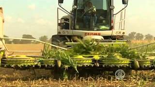 Texas suffers through record-breaking drought