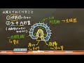 おうち生物　50. ウニの発生