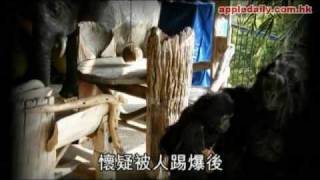 蘋果日報 - 20100808 - 大蛇灣變垃圾場政府懶理
