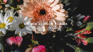 【偷偷喜欢一遍-刘增瞳】TOU TOU XI HUAN YI BIAN-LIU ZENG TONG /TIKTOK,抖音,틱톡/Pinyin Lyrics, 拼音歌词, 병음가사/No AD, 无广告