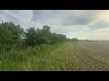 Nature Field with Birds | Relaxing Atmosphere