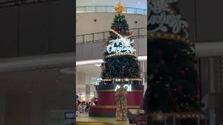 Cuplikan Holy Night di Mall of Indonesia - Cover Lagu Natal-Yustina Stepani