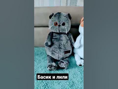 Басик и Лили #хочуврек - YouTube