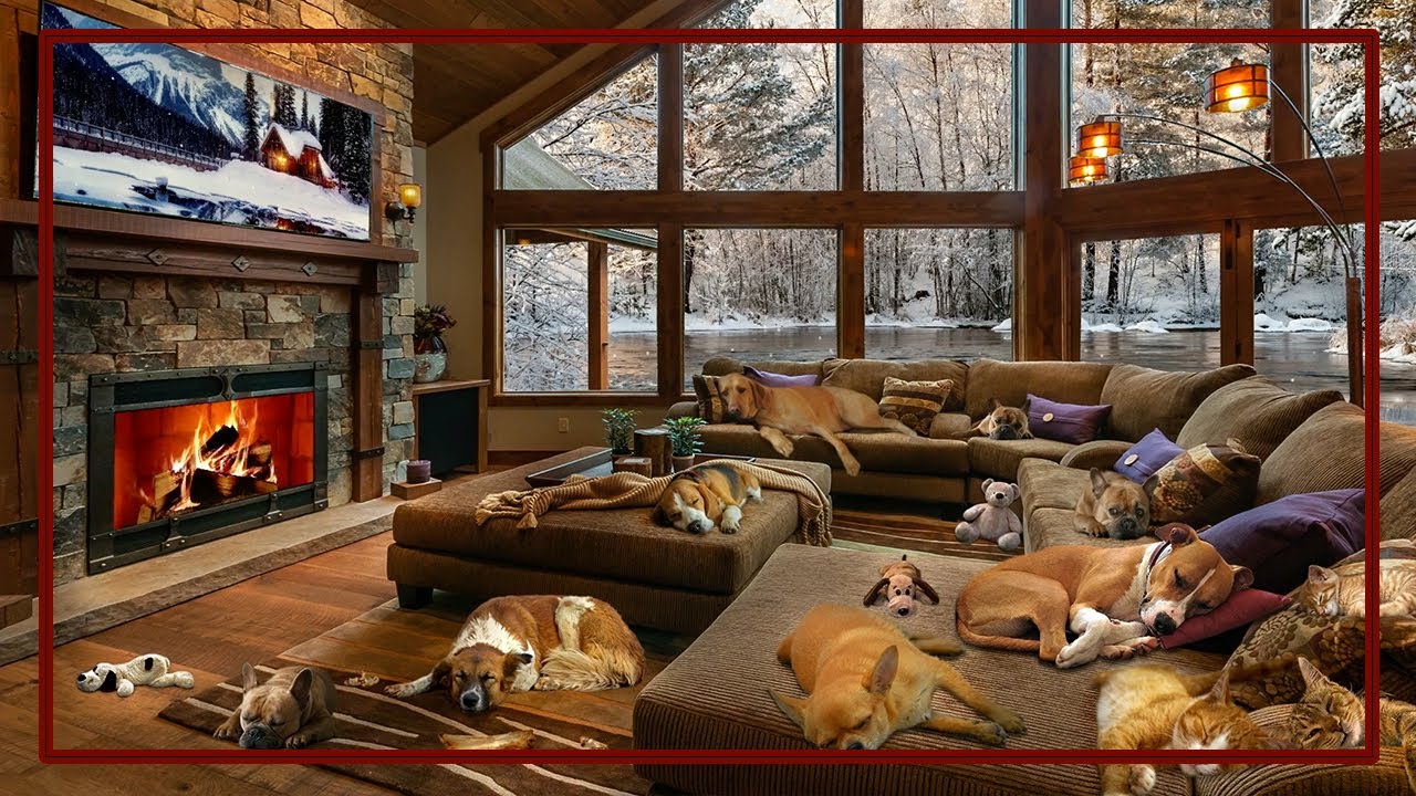 Cozy Blues Dog Lover Silly Fun Winter Snoozing 😴💤🎸🎶