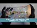 Beauty and the Beast Flower Unboxing