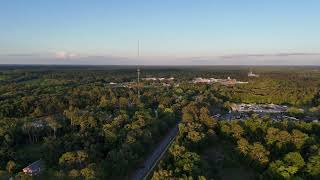 Calm Water & Quiet Pines | Florida Drone + Relaxing Lofi Music screenshot 5