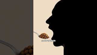 He Only Ate Dog Food For A Month