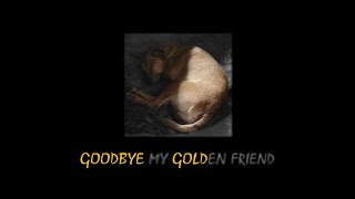 AuGhost - Goodbye My Golden Friend (prod. Jewelryboy)