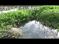 竹竿で穴釣りしたら大物が釣れてしまった※新記録