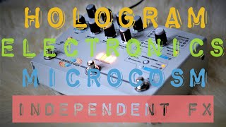 HOLOGRAM MICROCOSM INDEPENDENT FX