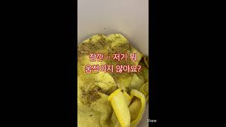 천장에서 이런 게 떨어졌다고요? 열어보니 충격적인 장면이…#충격실화 #천장주의 #퇴마청소 #구더기주의 #청소브이로그