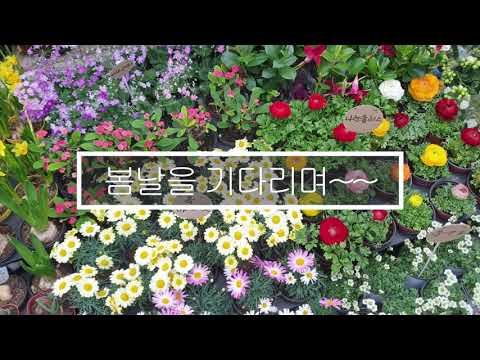 봄을 기다리며