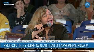 SENADORA TERESA GONZÁLEZ - PLENARIO DE AS. CONSTITUCIONALES Y LEG. GENERAL 15-04-26