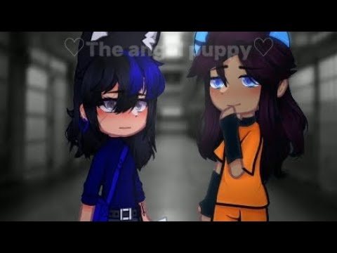 Mama I'm in love with a criminal || Aphmau - gender || Gacha Nymph Meme || ♡The angel puppy♡