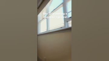 Day 32 of posting a loop until I go viral