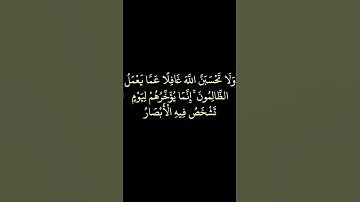 سورة إبراهيم . (42)  .القران الكريم . سعد الغامدي