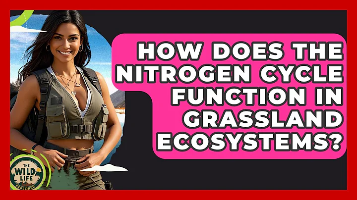 How Does The Nitrogen Cycle Function In Grassland Ecosystems? - The Wild Life Explorer